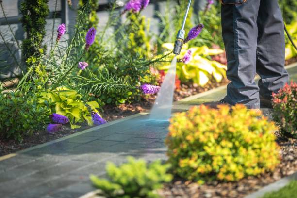 Best Animal Enclosure Cleaning  in Woodbine, GA