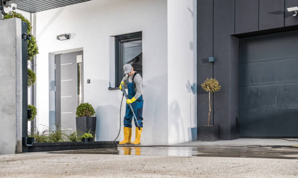 Best Driveway Pressure Washing  in Woodbine, GA